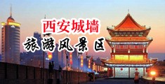 美女把奶头露出来给中国陕西-西安城墙旅游风景区
